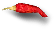Hasta La Muerte Tacos